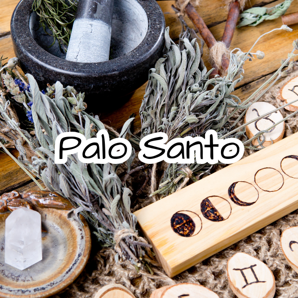 Palo Santo Scented Candle - Cedarwood - Amber - Palo Santo - Smoke - Incense Spice