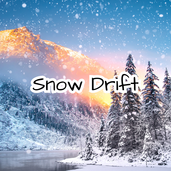 Snow Drift Scented Candle - Holiday Candle - Winter Candle - Christmas Candle - Winter Air - Snowdrop Petals - Cashmeere Musk