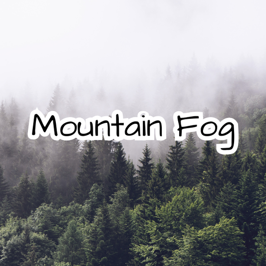 Mountain Fog Scented Candle - Petrichor - Moss - Wild Nettle - Amber - Cedar Wood