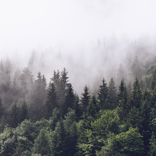 Hanging Car Oil Diffuser | Scented Oil Diffuser | Car Freshie | Air Freshener | Scented Car Diffuser | Car Accessories