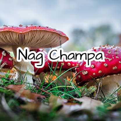 Nag Champa Scented Candle - Hippie Scent - Incense - Dragons Blood - Patchoulli