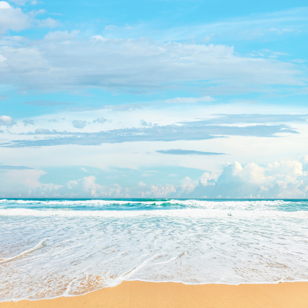 Hanging Car Oil Diffuser | Scented Oil Diffuser | Car Freshie | Air Freshener | Scented Car Diffuser | Car Accessories