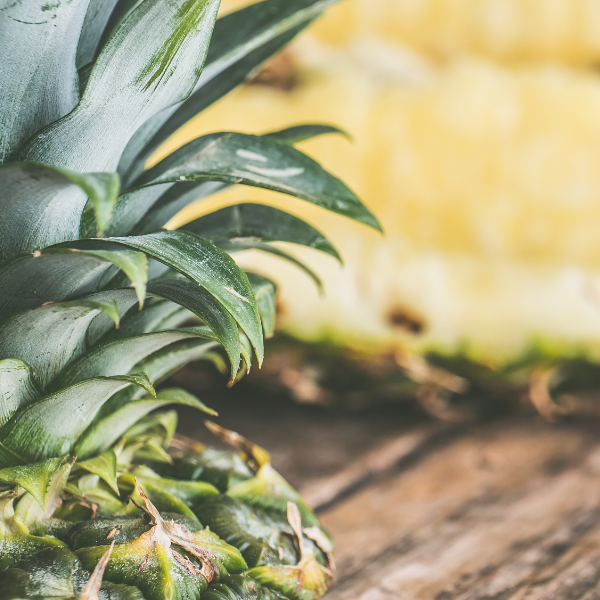 Hanging Car Oil Diffuser | Scented Oil Diffuser | Car Freshie | Air Freshener | Scented Car Diffuser | Car Accessories