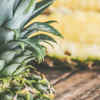 Hanging Car Oil Diffuser | Scented Oil Diffuser | Car Freshie | Air Freshener | Scented Car Diffuser | Car Accessories