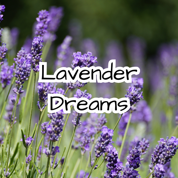 Lavender Dreams Scented Candle - Lavender - Relaxing - Soothing